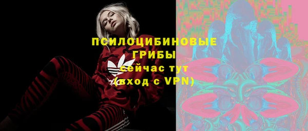 прущий лед Вяземский