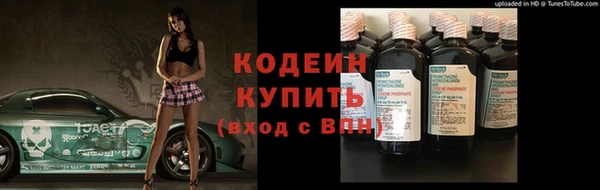 прущий лед Вяземский
