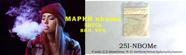 прущий лед Вяземский