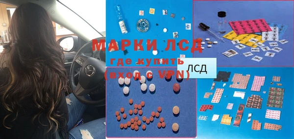 прущий лед Вяземский
