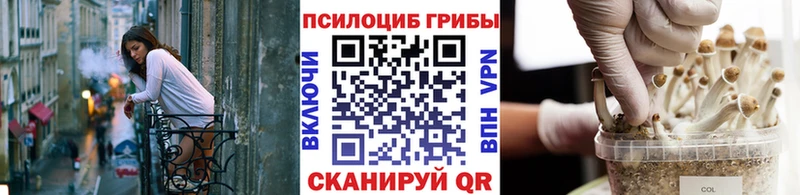 где купить наркотик Псков Галлюциногенные грибы мицелий